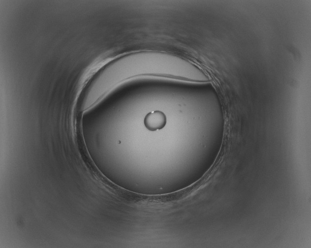 X0000116620294200912241758