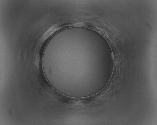 X0000116620295200912241758