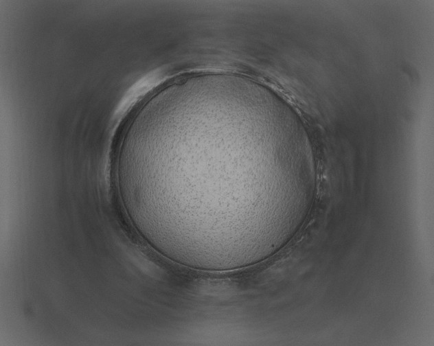 X0000116620296200912241758