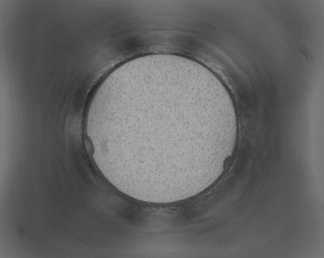 X0000116620297200912241758