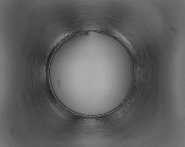 X0000116620298200912241758