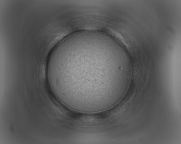 X0000116620299200912241758