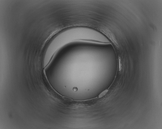 X0000116620300200912241758