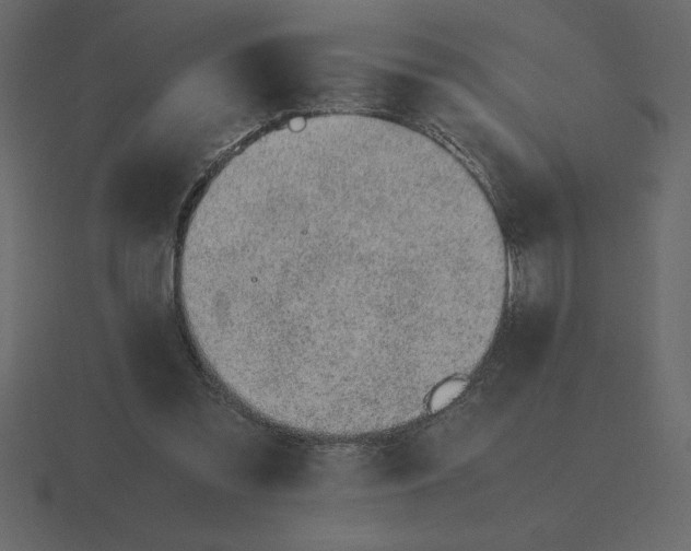 X0000116620301200912241758