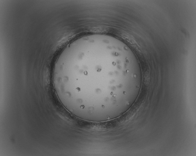 X0000116620303200912241758