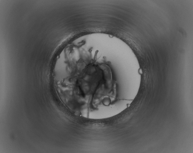 X0000116620304200912241758