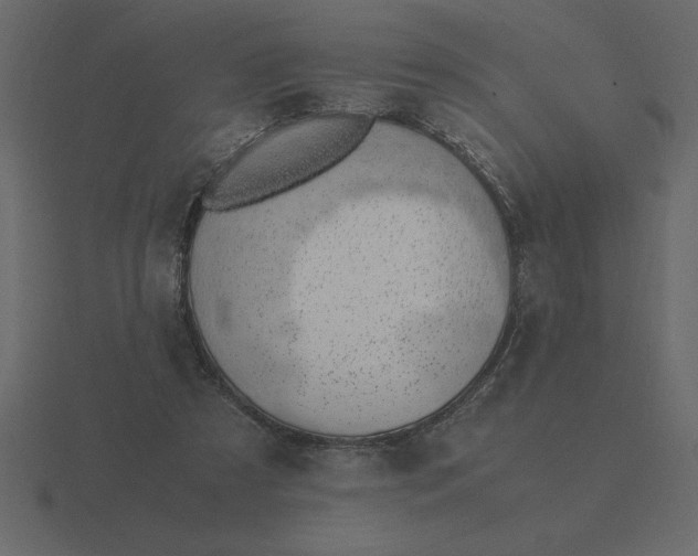 X0000116620305200912241758