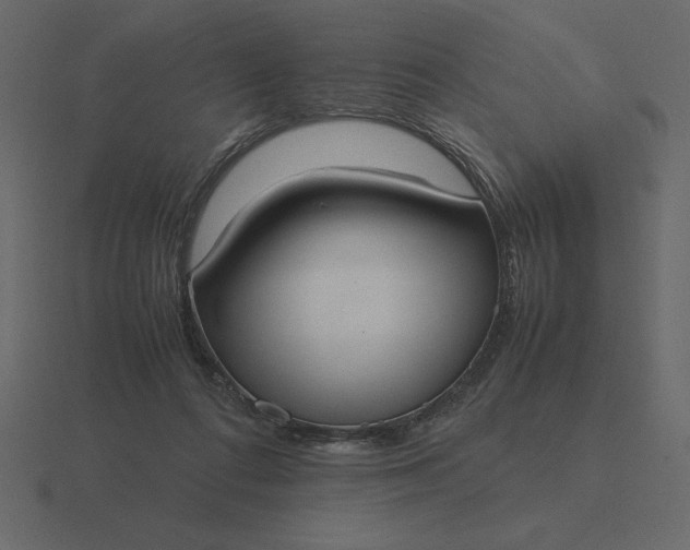 X0000116620312200912241758