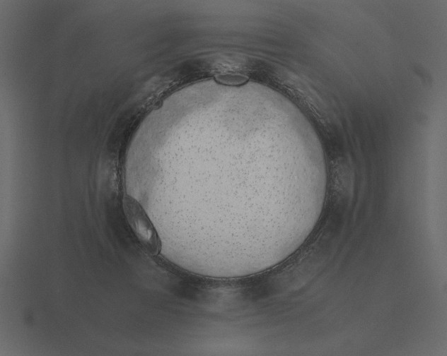 X0000116620313200912241758