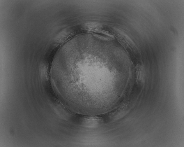 X0000116620316200912241758