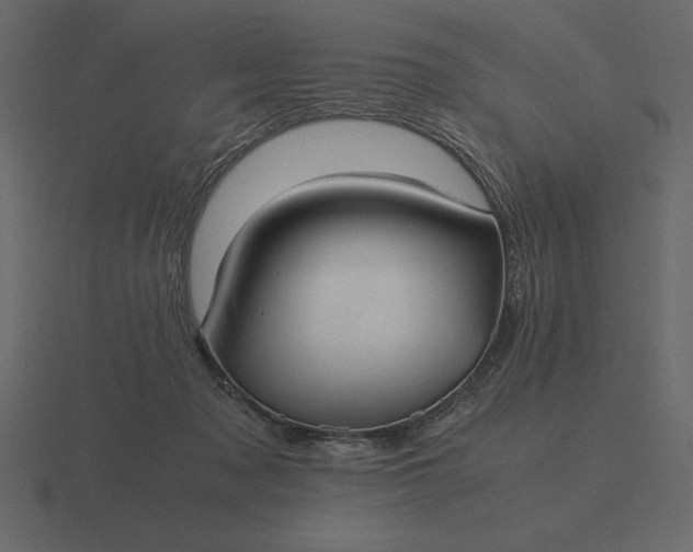 X0000116620317200912241758