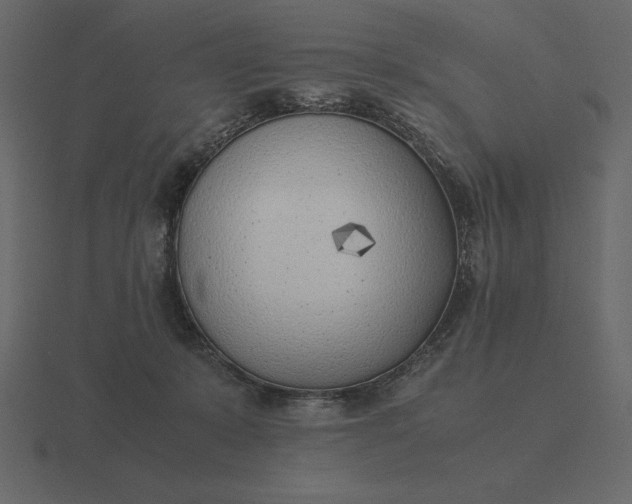 X0000116620319200912241758