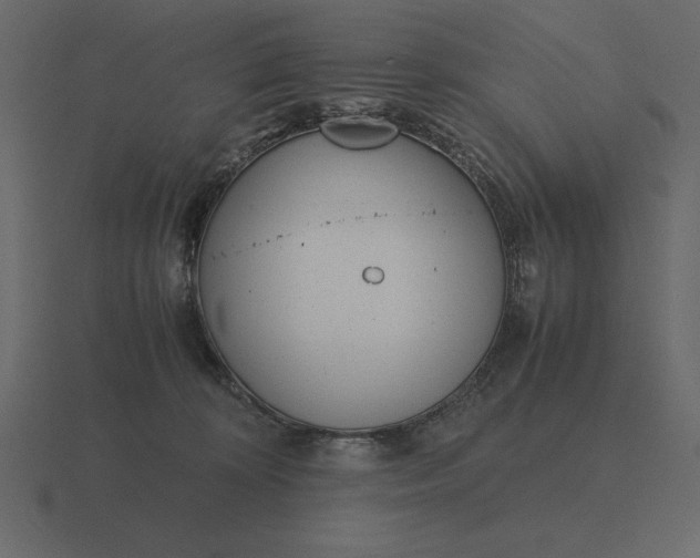 X0000116620324200912241758