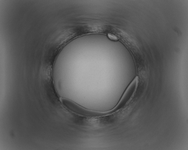 X0000116620325200912241758