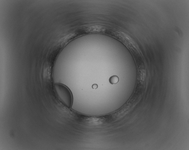 X0000116620326200912241758