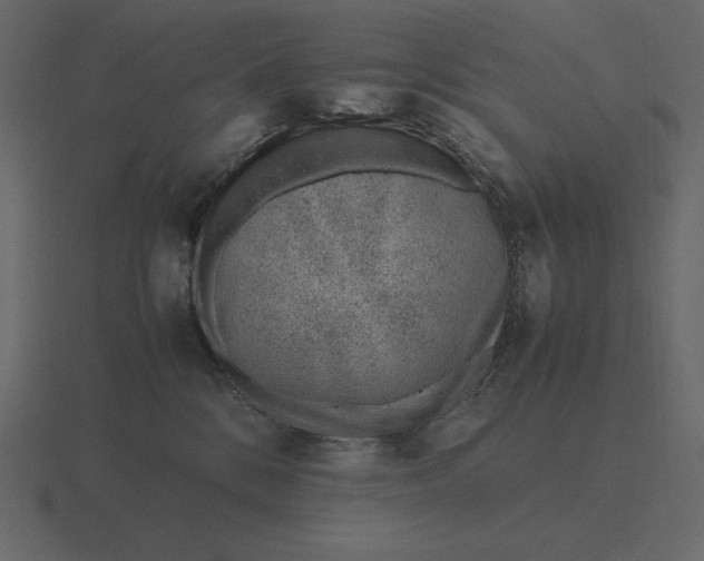 X0000116620328200912241758