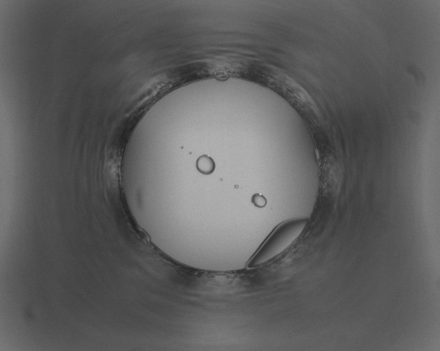 X0000116620329200912241758