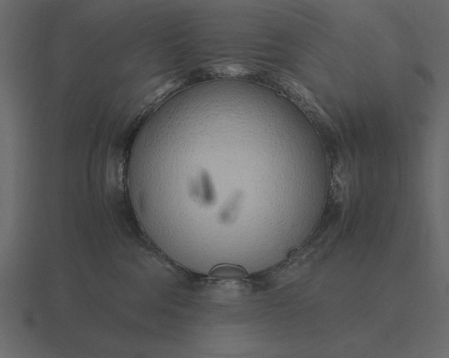 X0000116620330200912241758