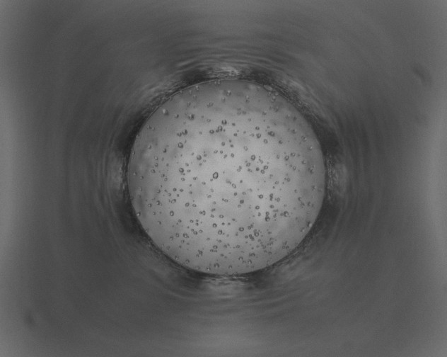 X0000116620331200912241758