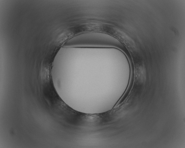 X0000116620333200912241758