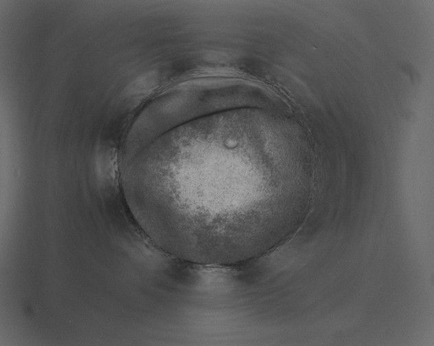 X0000116620336200912241758