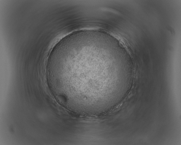 X0000116620337200912241757