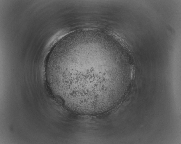 X0000116620339200912241757