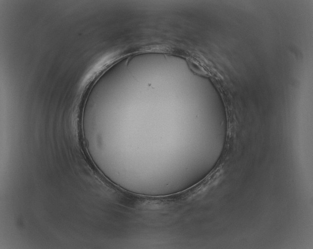 X0000116620341200912241757