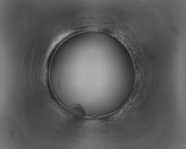 X0000116620342200912241757