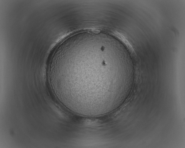 X0000116620346200912241757