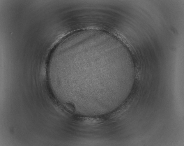 X0000116620347200912241757