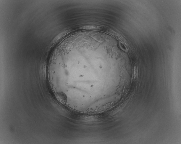 X0000116620349200912241757