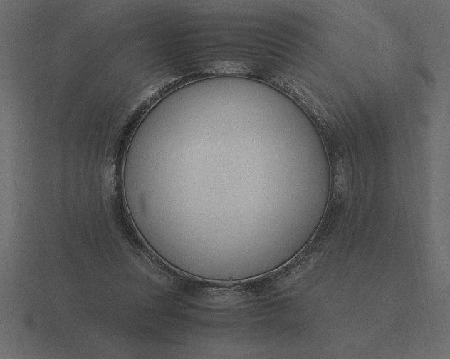 X0000116620351200912241757