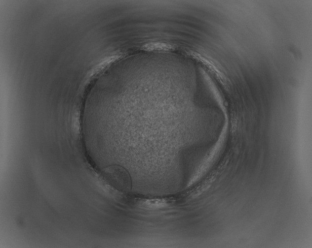 X0000116620353200912241757