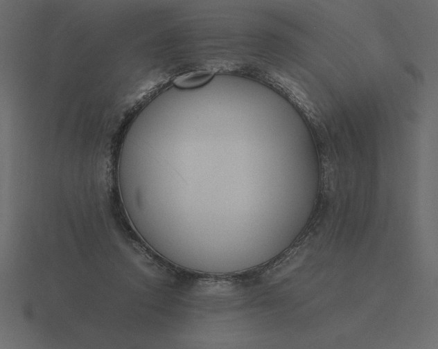 X0000116620354200912241757