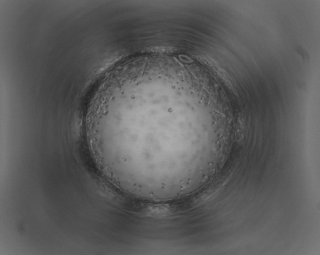 X0000116620355200912241757