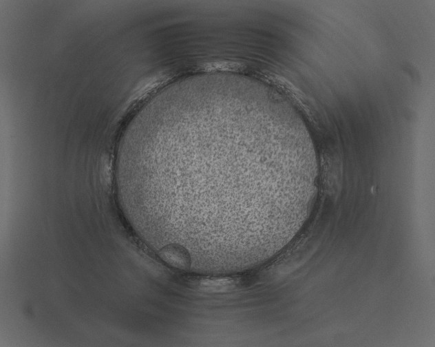 X0000116620357200912241757