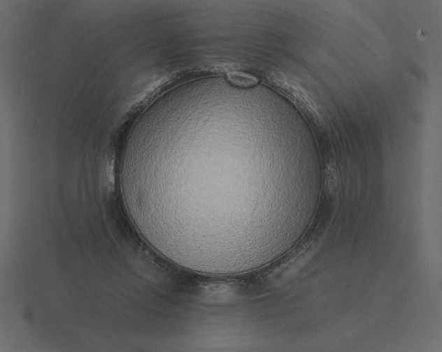 X0000116620358200912241757