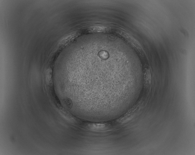 X0000116620361200912241757