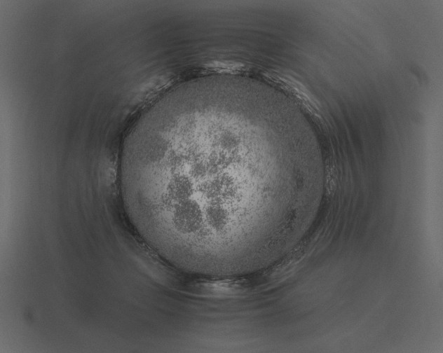 X0000116620365200912241757