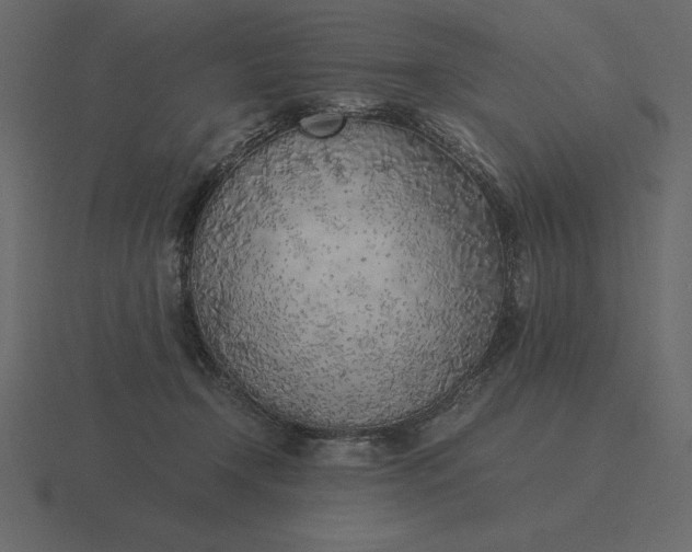 X0000116620366200912241757