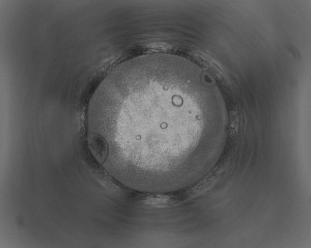 X0000116620369200912241757