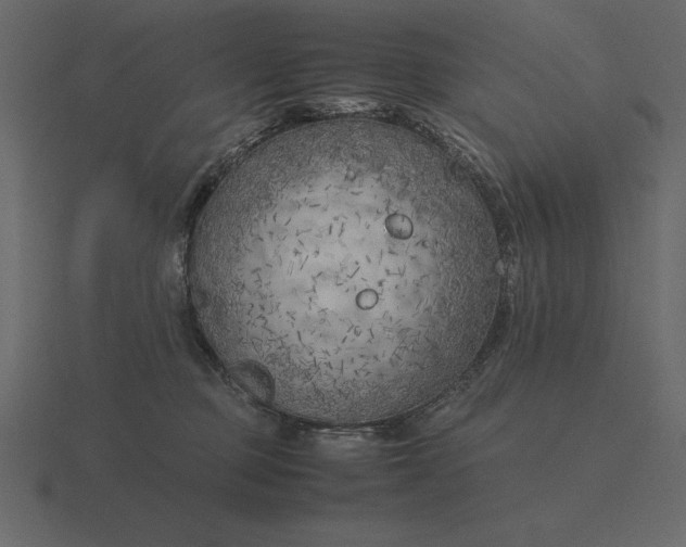 X0000116620373200912241757