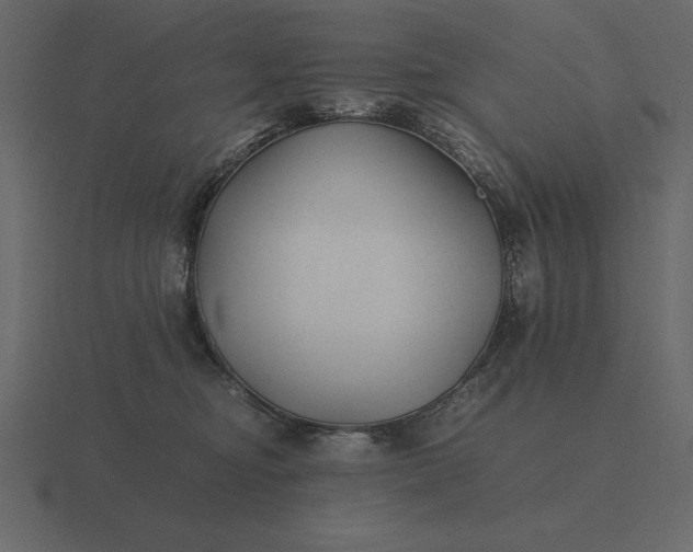 X0000116620374200912241757