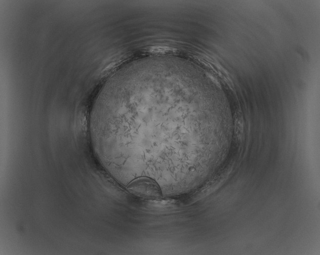 X0000116620375200912241757