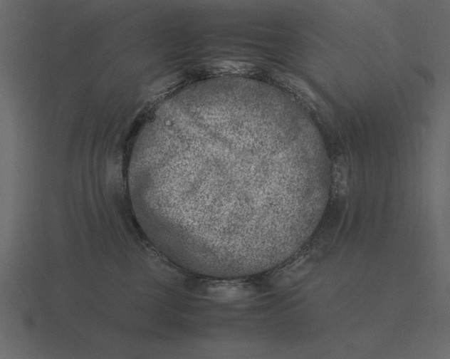 X0000116620377200912241757