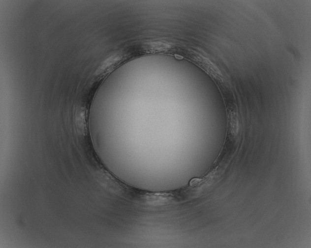 X0000116620378200912241758