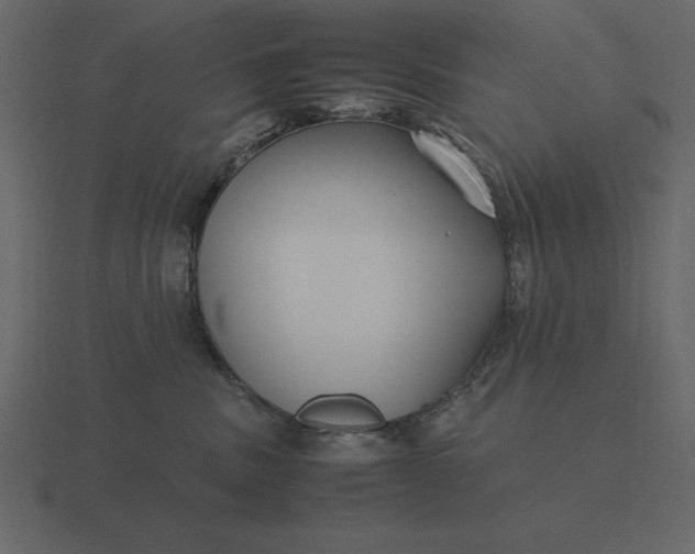 X0000116620379200912241758