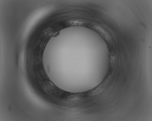 X0000116620381200912241758