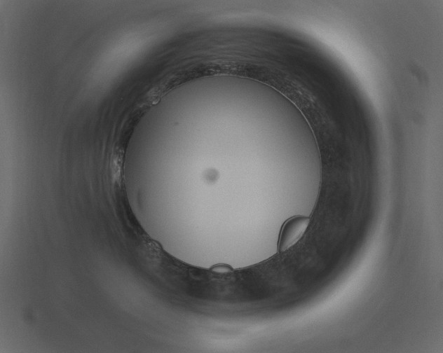 X0000116620382200912241758